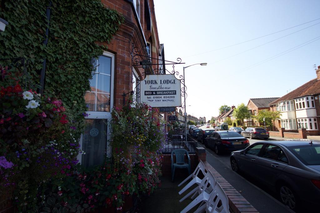 York Lodge Guesthouse Esterno foto