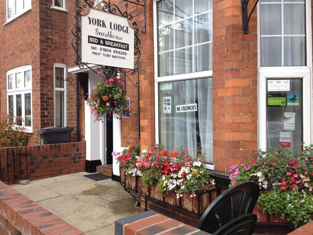 York Lodge Guesthouse Esterno foto